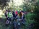 im Wald