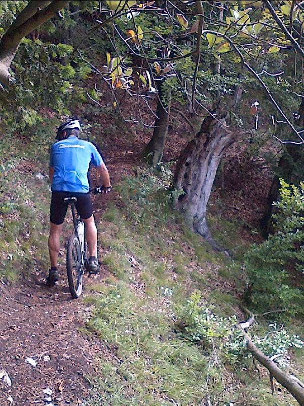 Tretrad I