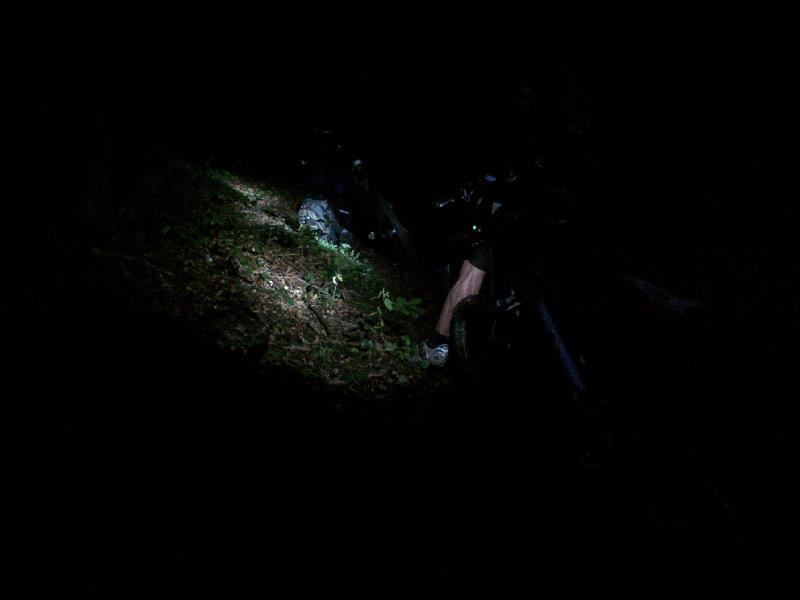 Spot
