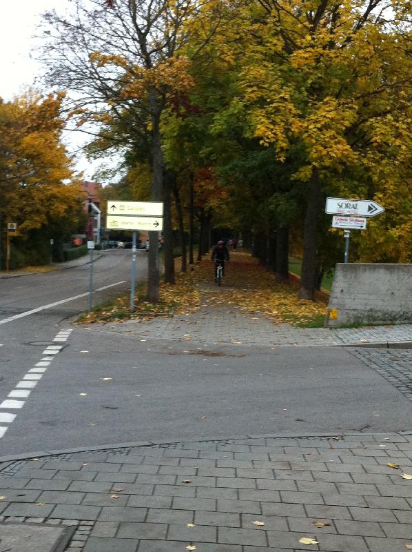 Purzel im Anflug