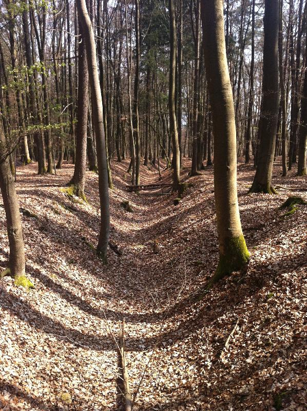 Wegbereitung der freundlichen bikehasser