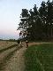 Vollmond mit Bergradfahrer
