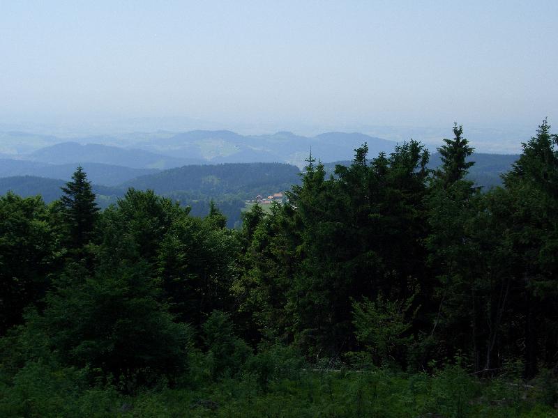 Blick
