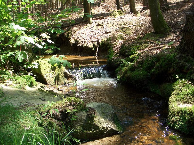 Natur pur