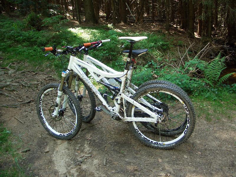 Rast
