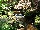 Natur pur