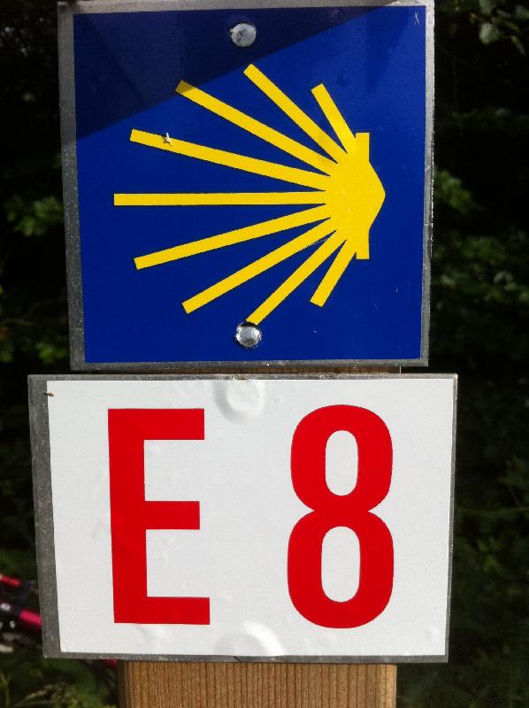 E 8