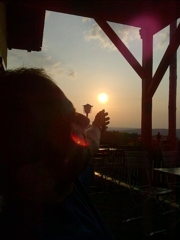 Abends in der Waldeslust