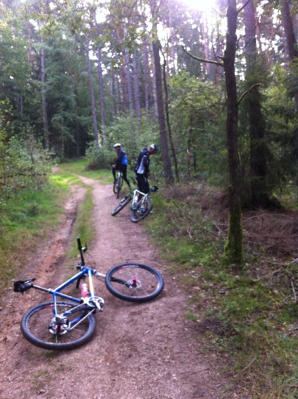 Pinkelpause
