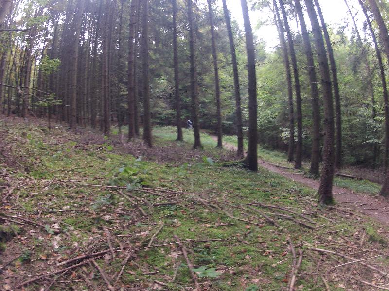Suchbild - wo ist das s &phi:?