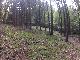Suchbild - wo ist das s &phi:?