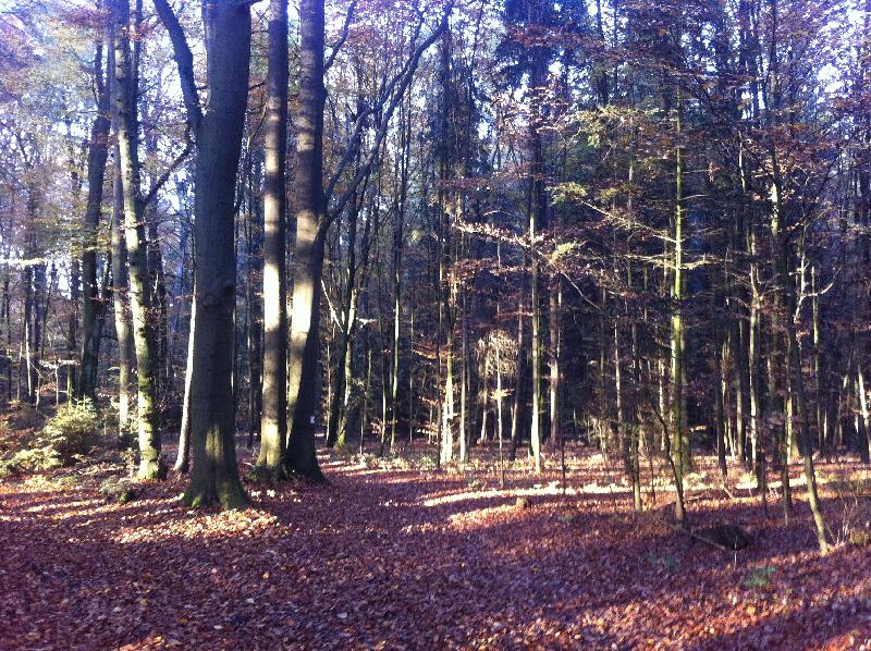 Herbst III