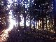 Herbst I