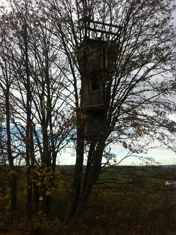 Baumhaus