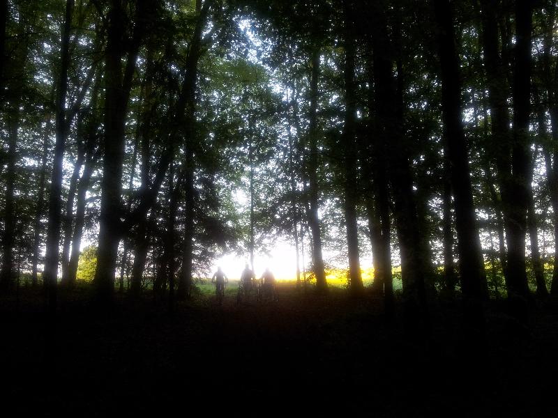 hinterm Horizont geht's weiter...