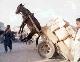 Sky-Donkey