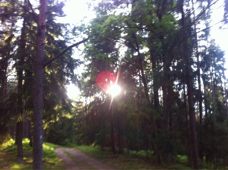 Sonne