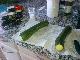 Zucchini