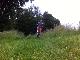 Wheelie