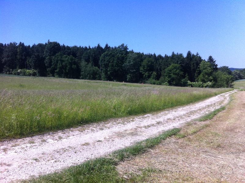 Suchbild