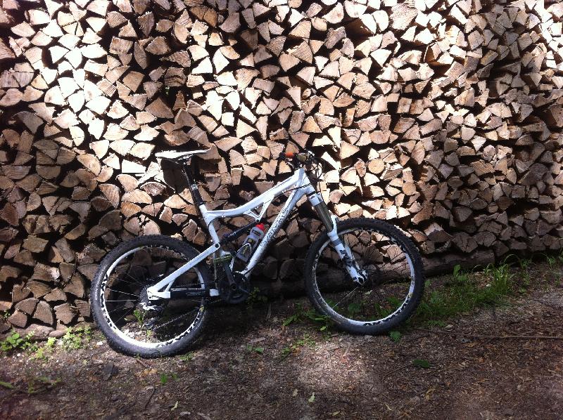 Holzsto