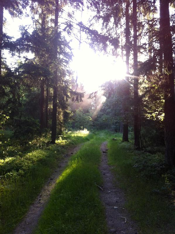 Licht und Schatten