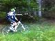 Don Quichotte
