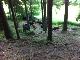 Flucht in den Wald