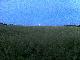 Mond