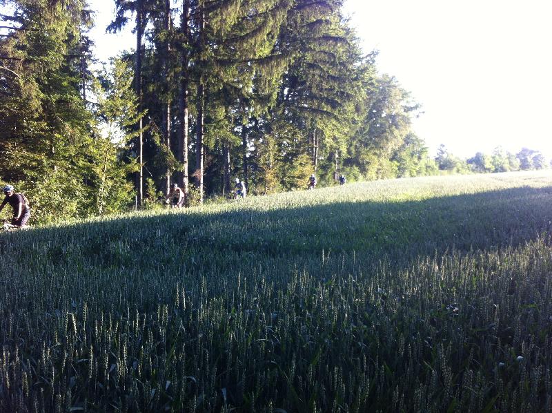 Perlenschnur I