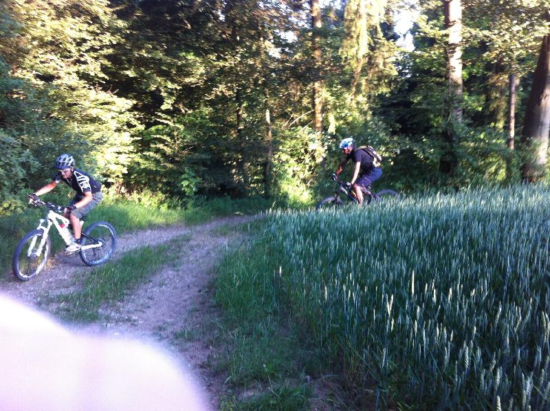 irgendwo vor Laaber