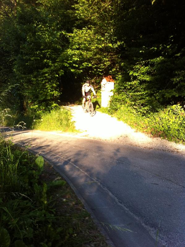 rasen in Laaber I