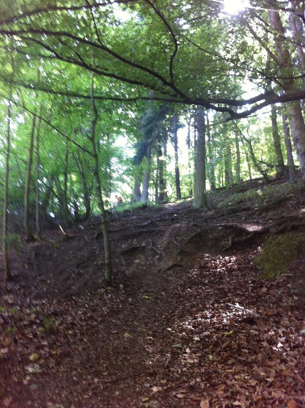 vertical rock