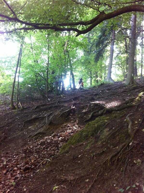 vertical rock II