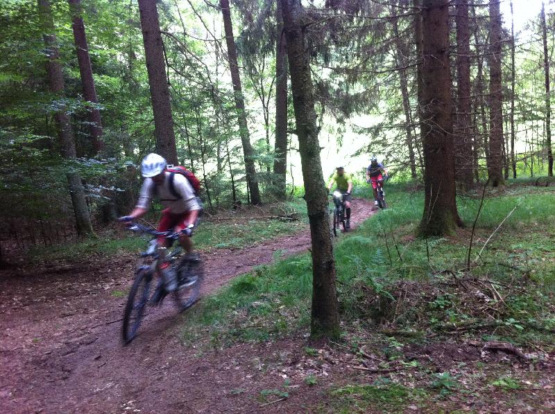 da Krmel im Wald