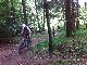 da Krmel im Wald