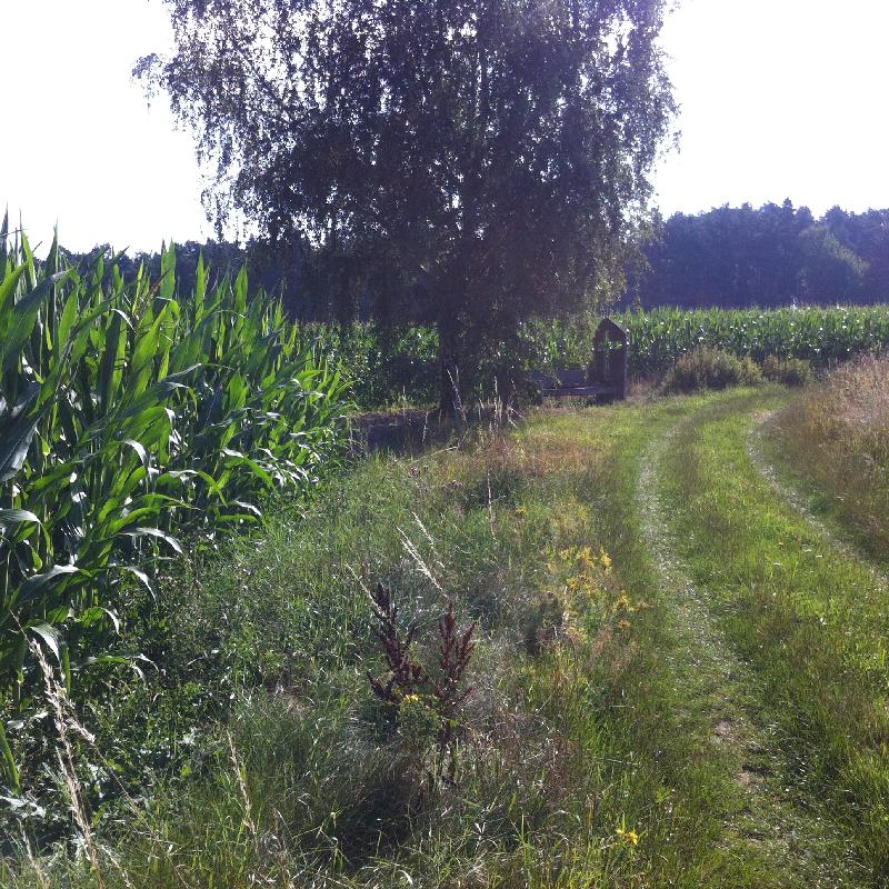 So schn ist es bei uns