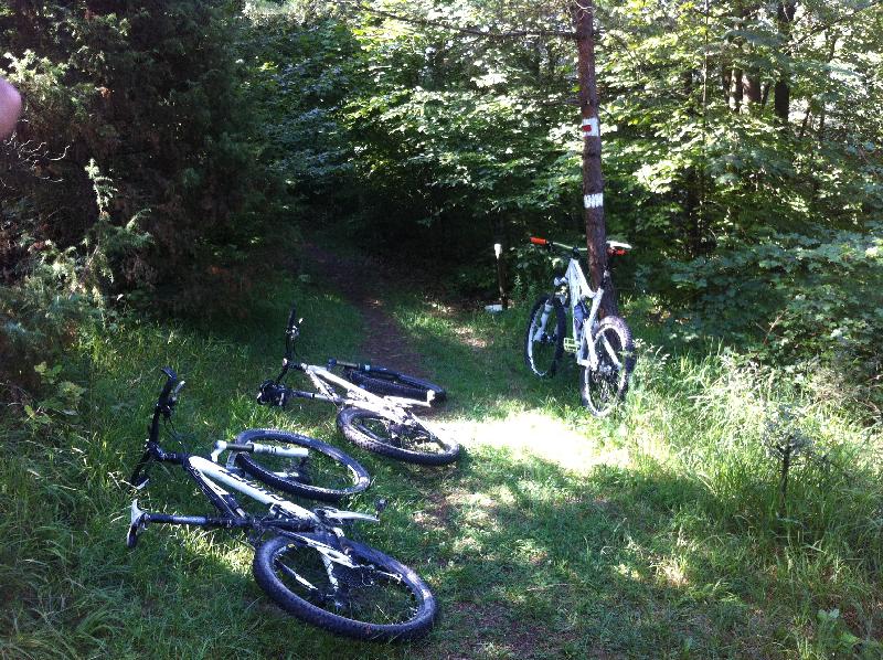 Rast