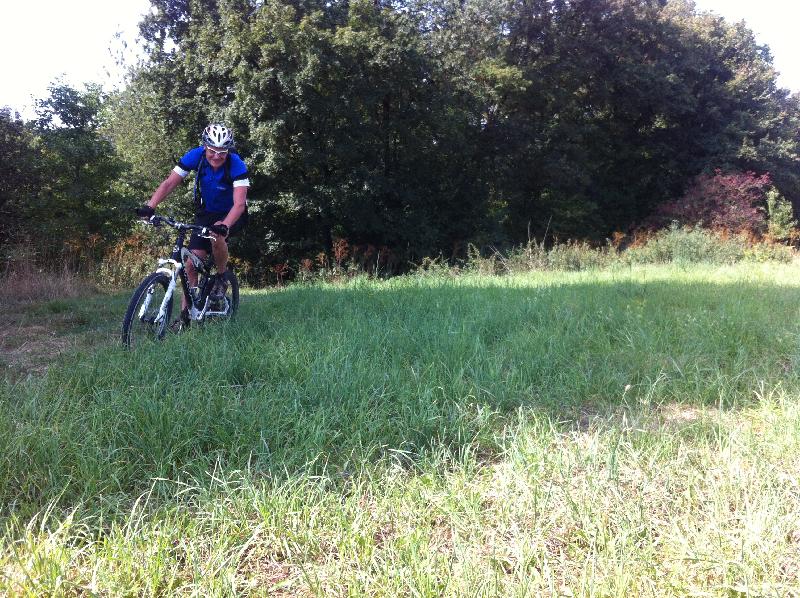 Susi in der Wiese