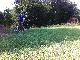 Susi in der Wiese