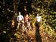 Gruppenbild I