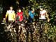 Gruppenbild IV