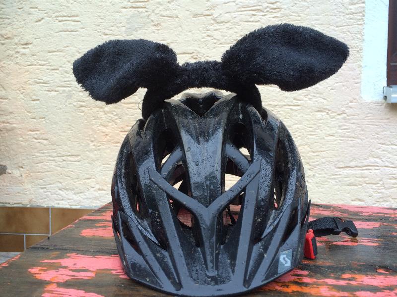 Racing rabbit