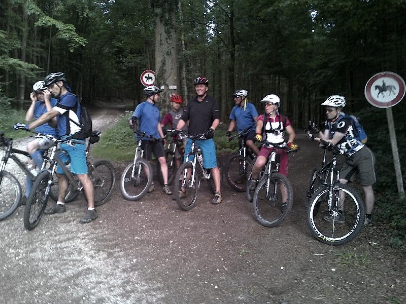 Gruppe III