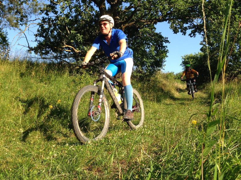 Lance am Katzenpfotenweg