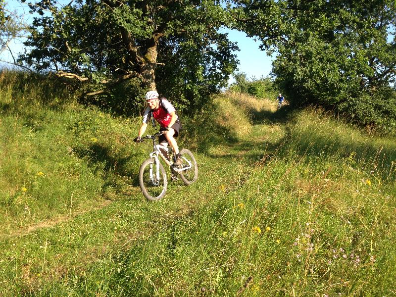 Susi am Katzenpfotenweg