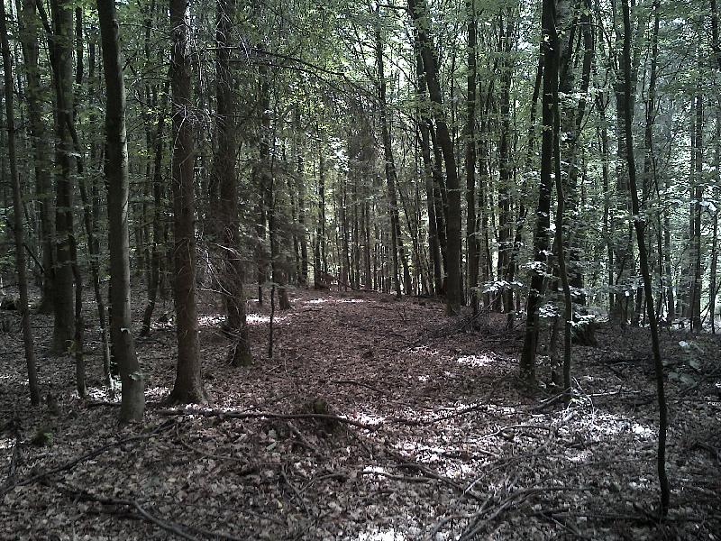 Natur! Wer sieht's?