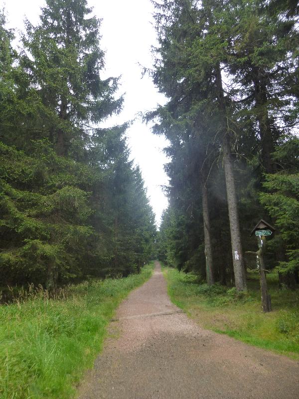 Radelweg