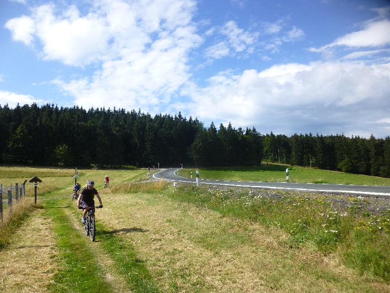 Wiesenfahrt I