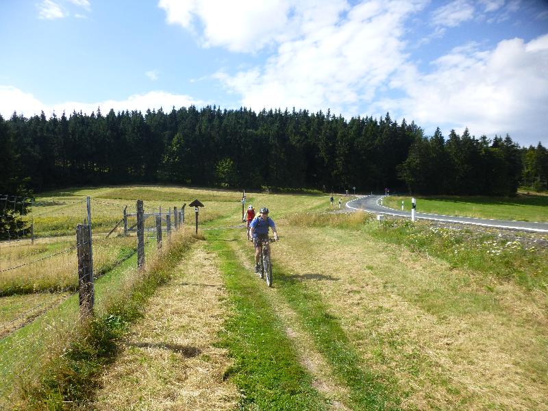 Wiesenfahrt II